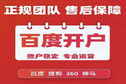 竞价广告策略案例分析