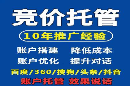 SEM竞价实战：成功案例解析